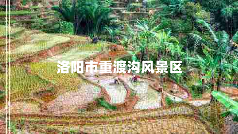 洛陽(yáng)市重渡溝風(fēng)景區