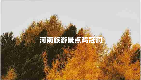 河南旅游景點(diǎn)雞冠洞