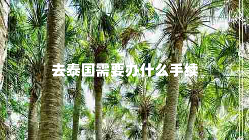 去泰國需要辦什么手續