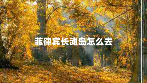菲律賓長(cháng)灘島怎么去