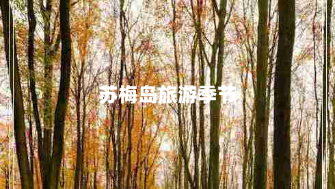 蘇梅島旅游季節