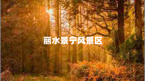 麗水景寧風(fēng)景區