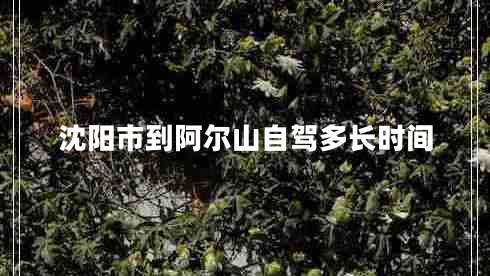 沈陽(yáng)市到阿爾山自駕多長(cháng)時(shí)間