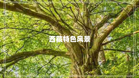 西藏特色風(fēng)景