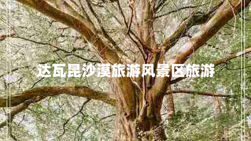 達瓦昆沙漠旅游風(fēng)景區旅游