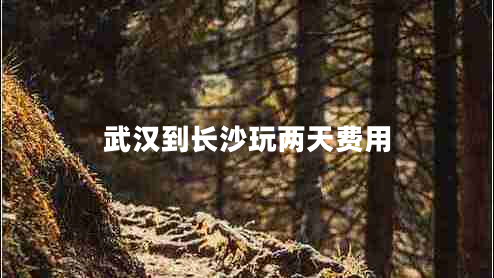 武漢到長(cháng)沙玩兩天費用