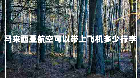 馬來(lái)西亞航空可以帶上飛機多少行李