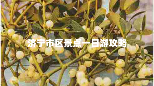 濟寧市區景點(diǎn)一日游攻略