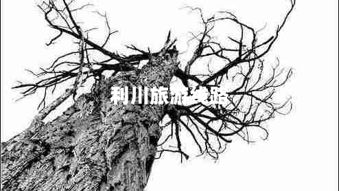 利川旅游線(xiàn)路