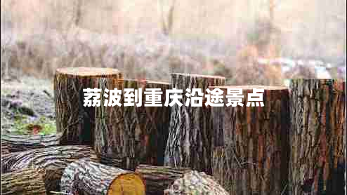 荔波到重慶沿途景點(diǎn)