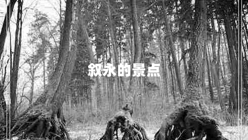 敘永的景點(diǎn)