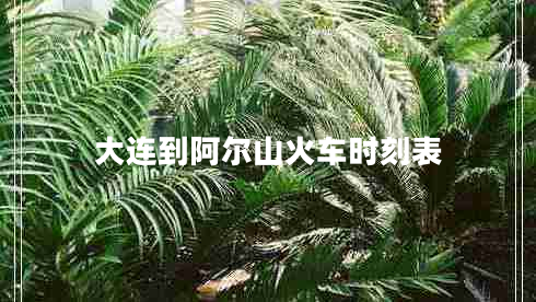大連到阿爾山火車(chē)時(shí)刻表