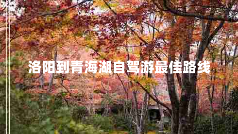 洛陽到青海湖自駕游最佳路線
