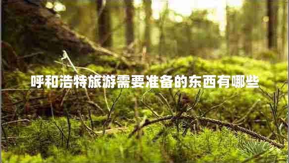 呼和浩特旅游需要準備的東西有哪些
