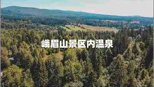 峨眉山景區內溫泉
