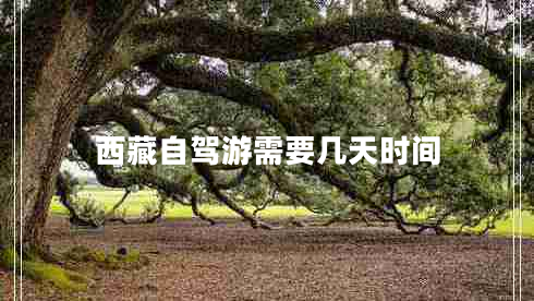 西藏自駕游需要幾天時(shí)間