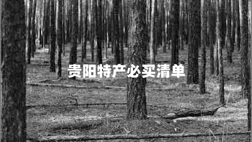 貴陽(yáng)特產(chǎn)必買(mǎi)清單