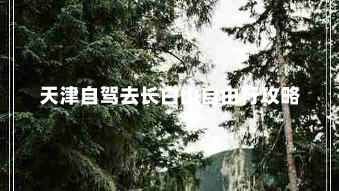 天津自駕去長(cháng)白山自由行攻略