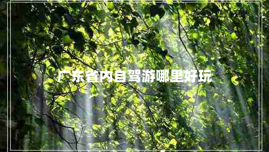廣東省內自駕游哪里好玩