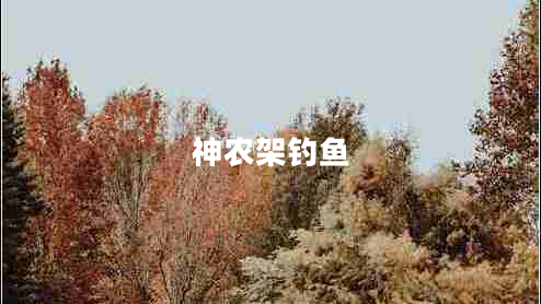 神農架釣魚(yú)