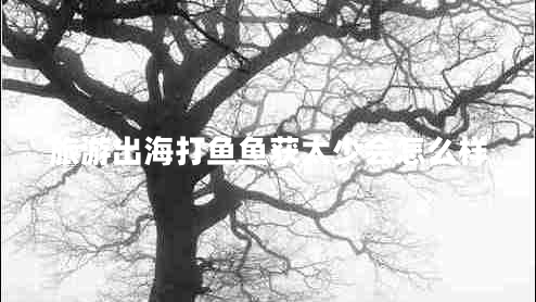 旅游出海打魚(yú)魚(yú)獲太少會(huì )怎么樣