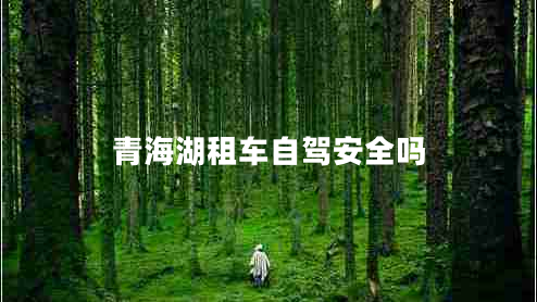 青海湖租車(chē)自駕安全嗎