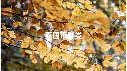 泰國幣種類(lèi)