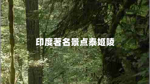印度著(zhù)名景點(diǎn)泰姬陵