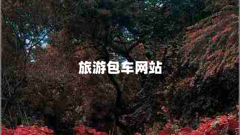 旅游包車(chē)網(wǎng)站