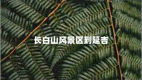 長(cháng)白山風(fēng)景區到延吉