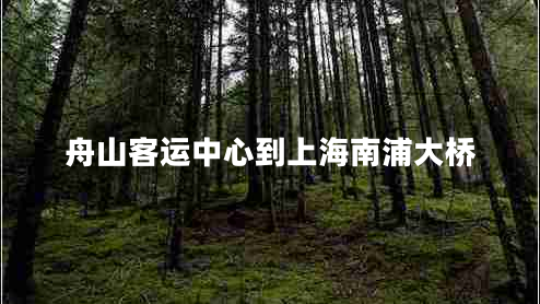 舟山客運中心到上海南浦大橋