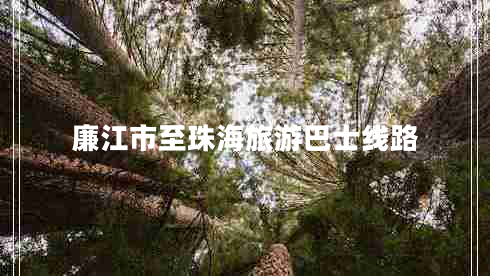廉江市至珠海旅游巴士線(xiàn)路