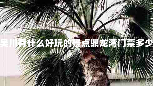 吳川有什么好玩的景點鼎龍灣門票多少