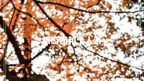 旅游團和個(gè)人游