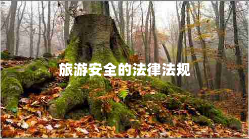 旅游安全的法律法規