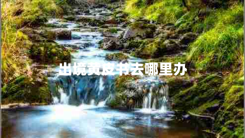 出境黃皮書(shū)去哪里辦