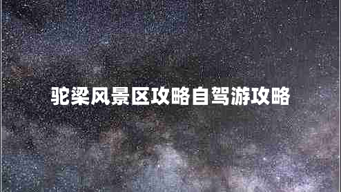 駝梁風(fēng)景區攻略自駕游攻略