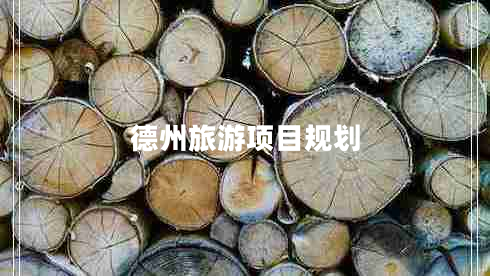 德州旅游項目規劃