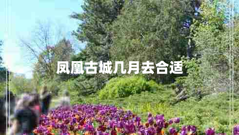 鳳凰古城幾月去合適