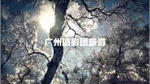 廣州攝影團旅游