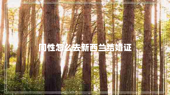 同性怎么去新西蘭結婚證