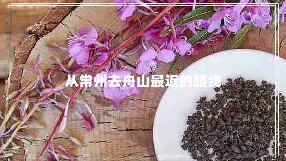 從常州去舟山最近的路線(xiàn)