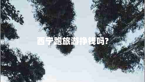 西寧跑旅游掙錢(qián)嗎?
