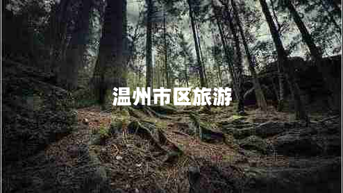 溫州市區旅游