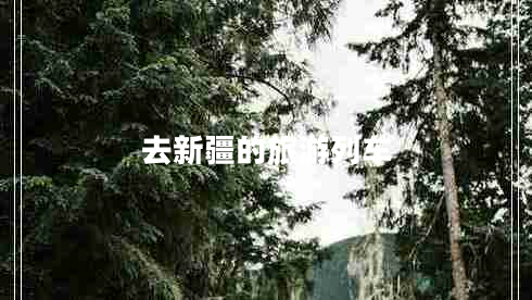 去新疆的旅游列車(chē)