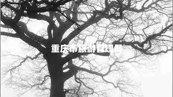 重慶市旅游管理局