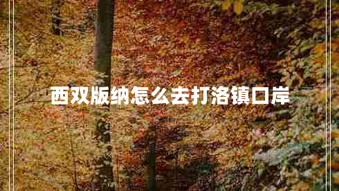 西雙版納怎么去打洛鎮口岸
