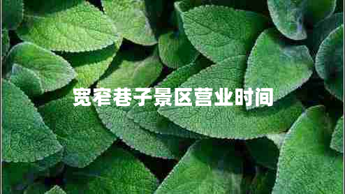 寬窄巷子景區營(yíng)業(yè)時(shí)間