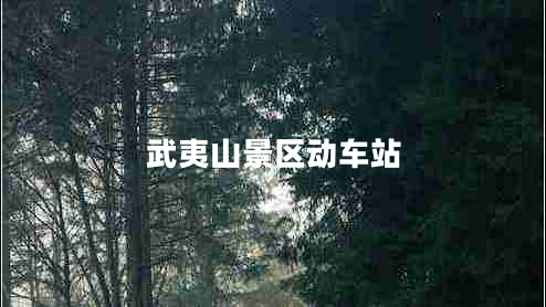 武夷山景區動(dòng)車(chē)站