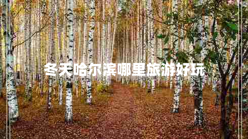 冬天哈爾濱哪里旅游好玩